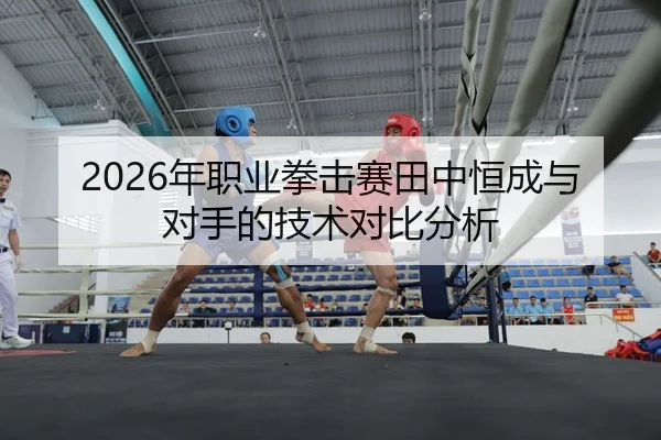 2026年职业拳击赛田中恒成与对手的技术对比分析
