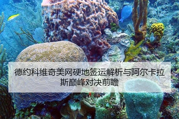 de-yue-ke-wei-qi-mei-wang-ying-di-qian-yun-jie-xi-yu-a-er-ka-la-si-dian-feng-dui-jue-qian-zhan-3-348.jpg