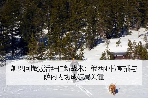 凯恩回撤激活拜仁新战术：穆西亚拉前插与萨内内切成破局关键