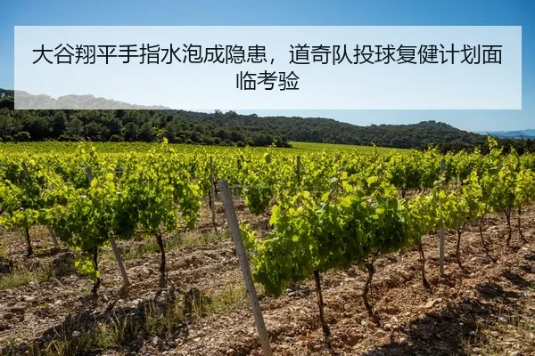 大谷翔平手指水泡成隐患，道奇队投球复健计划面临考验