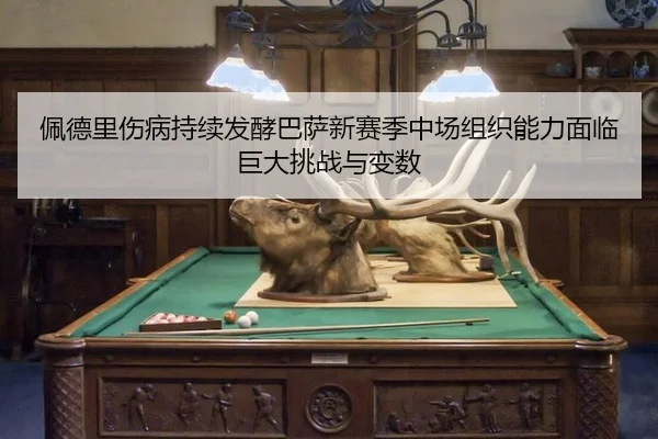pei-de-li-shang-bing-chi-xu-fa-jiao-ba-sa-xin-sai-ji-zhong-chang-zu-zhi-neng-li-mian-lin-ju-da-tiao-zhan-yu-bian-shu-3-741.jpg