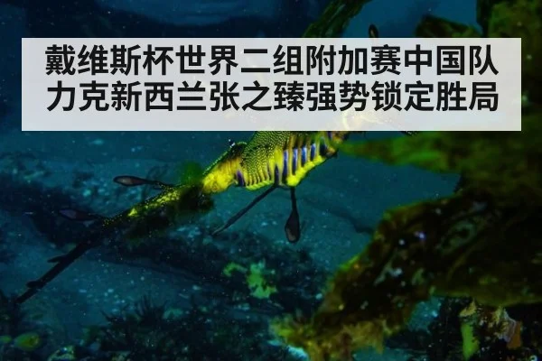 戴维斯杯世界二组附加赛中国队力克新西兰张之臻强势锁定胜局