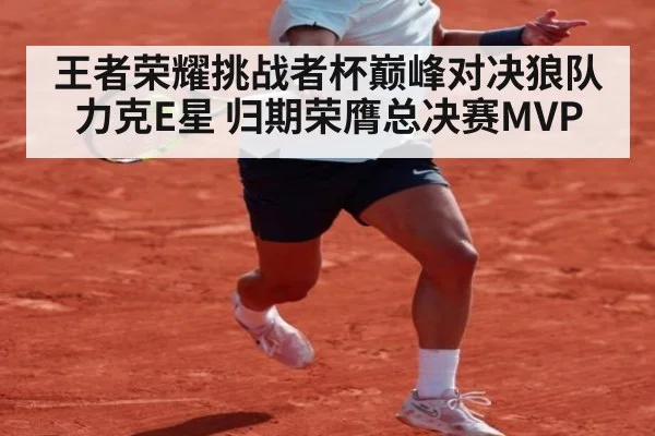 王者荣耀挑战者杯巅峰对决狼队力克E星 归期荣膺总决赛MVP